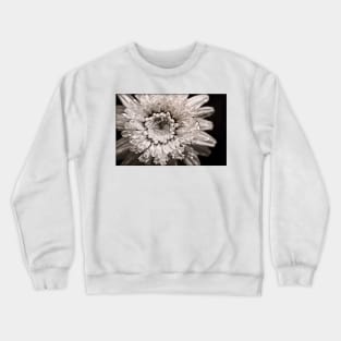 Cupping Crystals Crewneck Sweatshirt